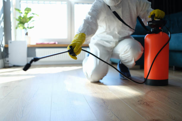 Reliable Biohazard Cleanup contractor in Monterey, CA by Trauma Clean Pros